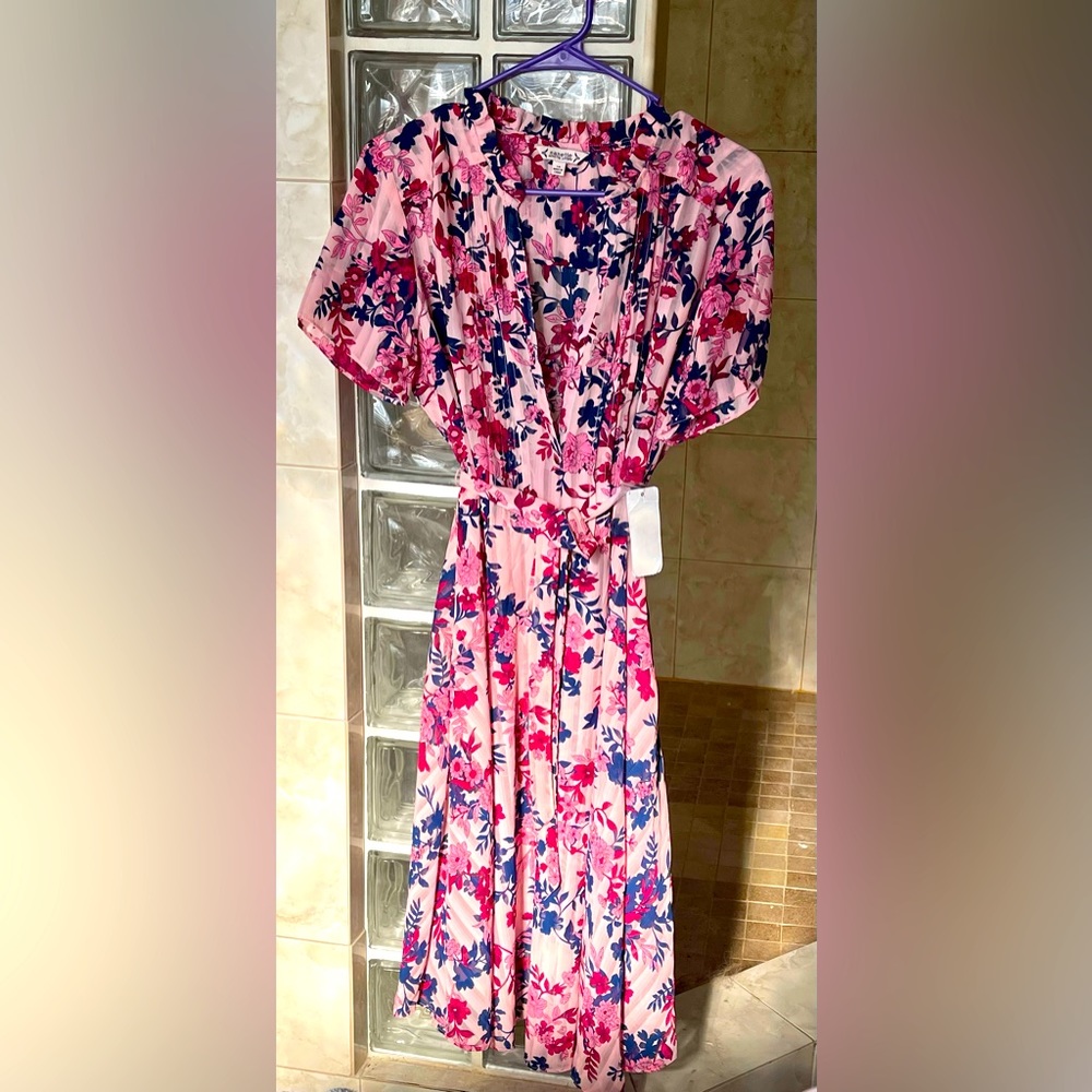 Nanette Lenore dress. Sheer pink with pink, wine and navy flowers.